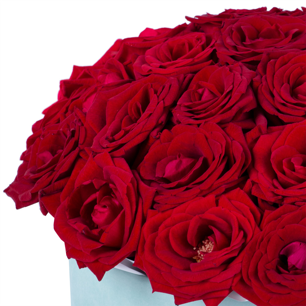25 роз premium в бархатной шляпной коробке