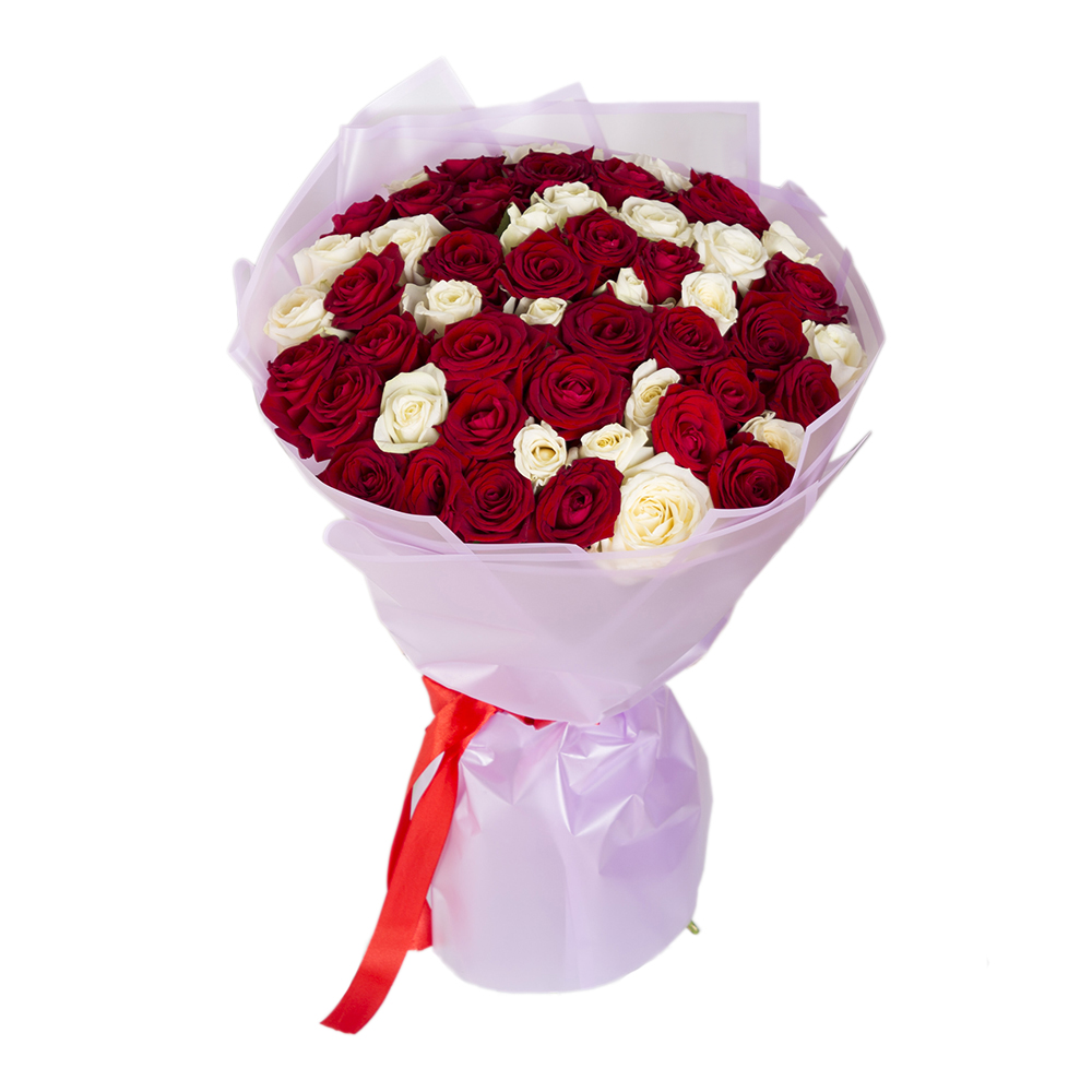 51 красная и белая роза premium 60 см