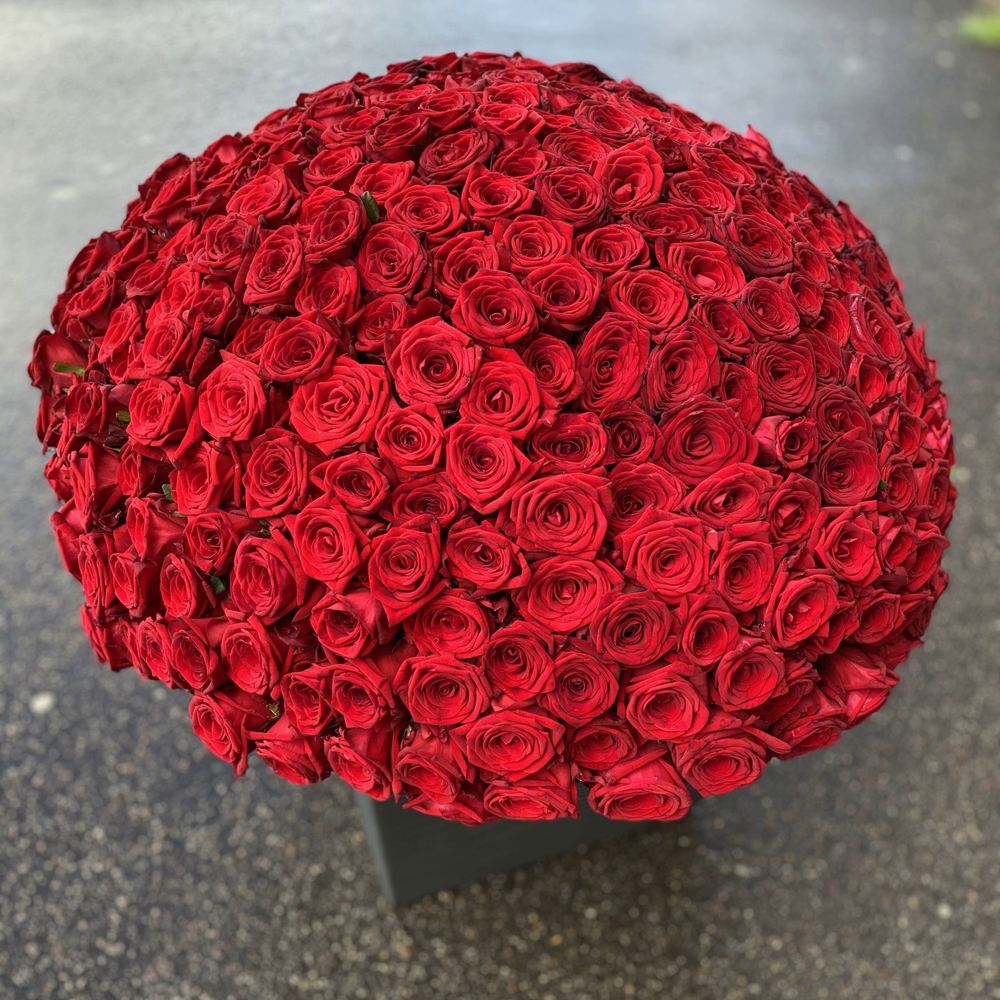 301 красная роза 60 см.