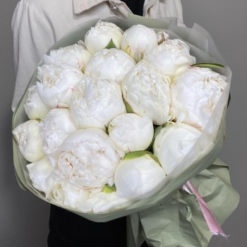 Букет из 19 белых пионов