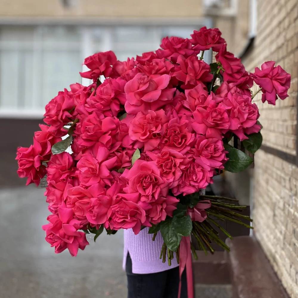 Французская малиновая роза 51 шт.