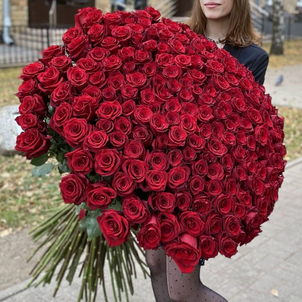 201 красная роза Premium Эквадор 100 см.