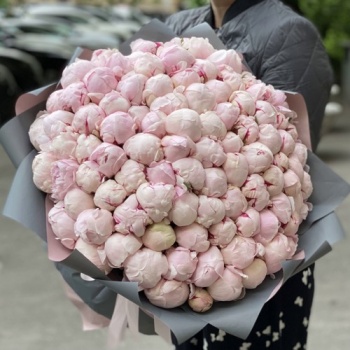 Букет из 101 нежно-розового пиона