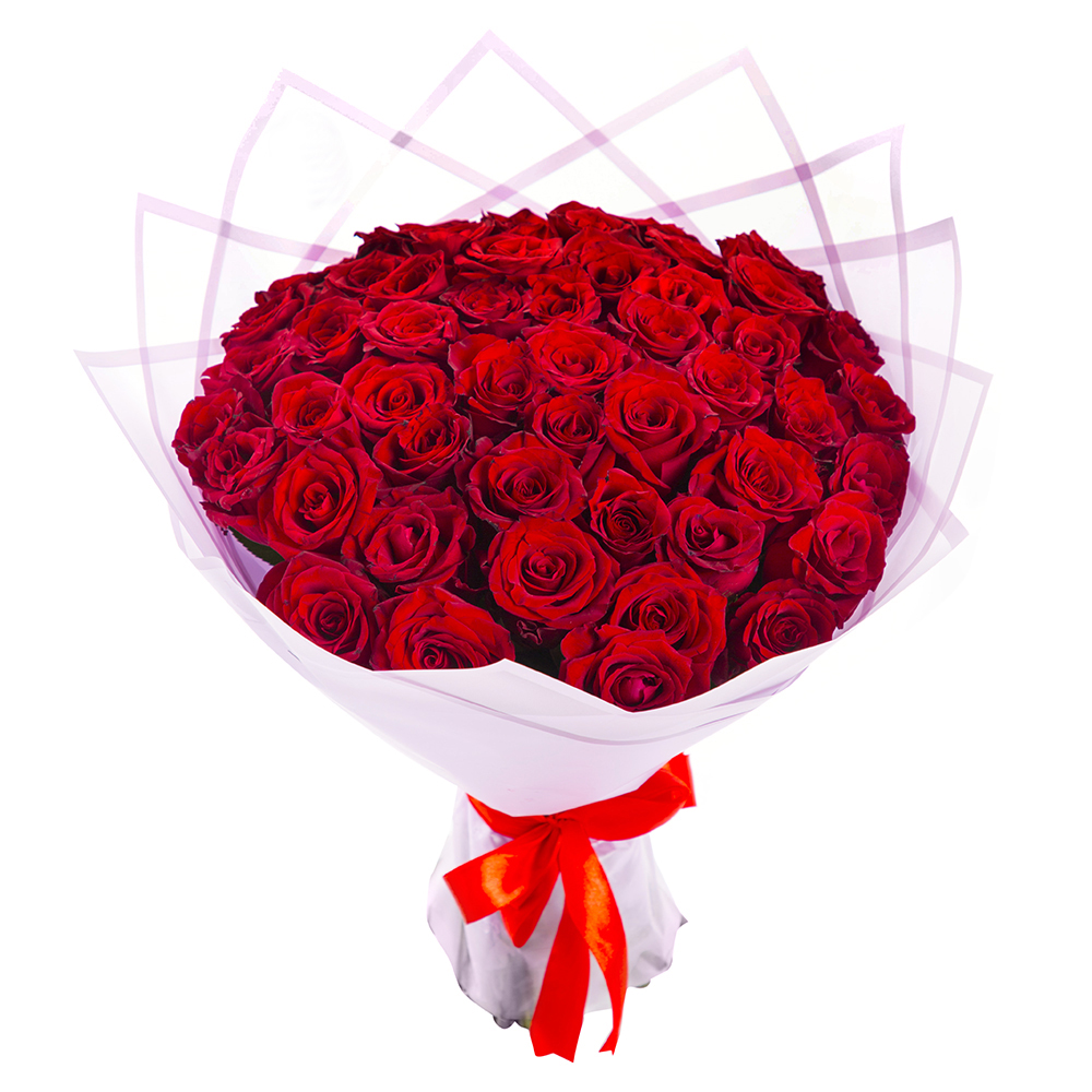 51 красная роза 40 см