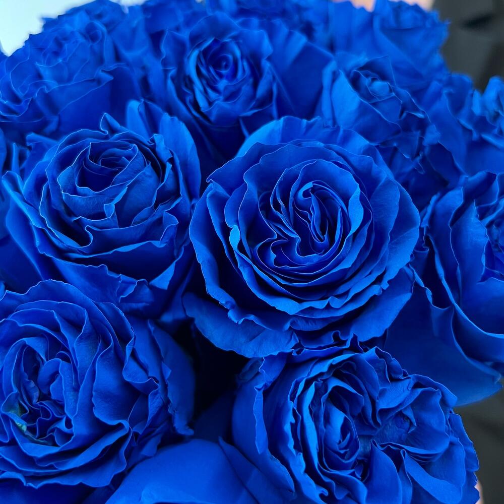 Букет из 13 синих роз Эквадор