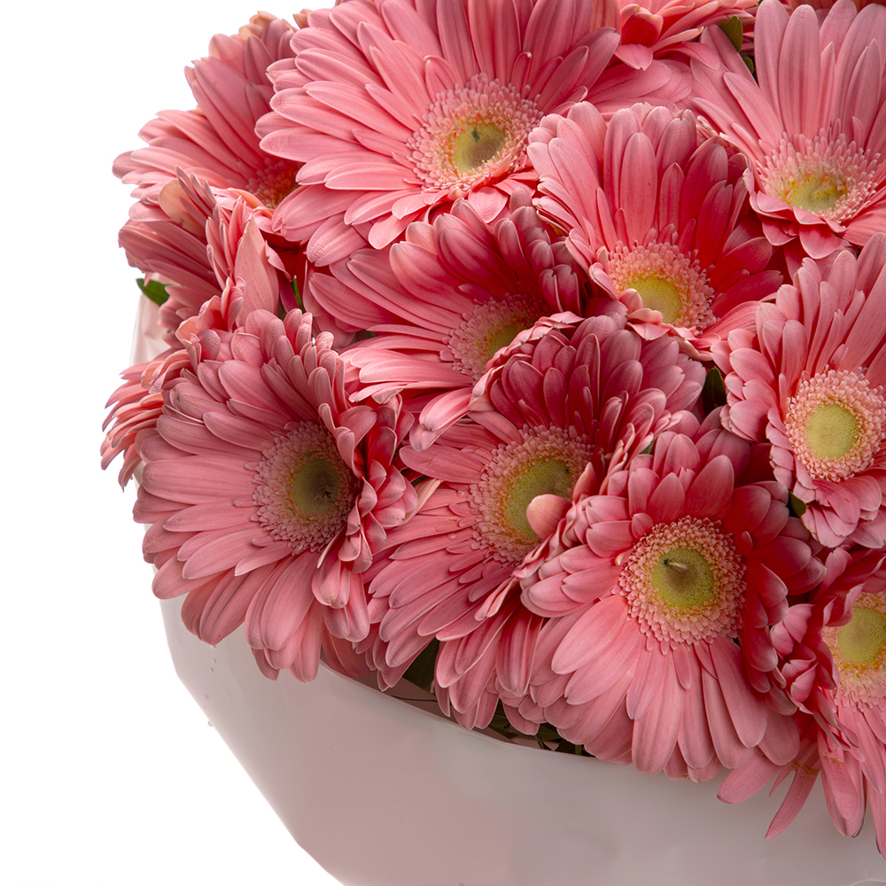 21 розовая гербера