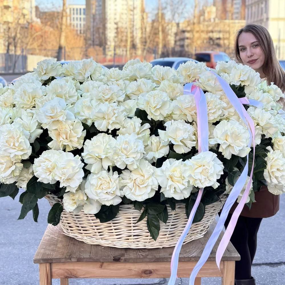Французская белая роза в корзине 151 шт.