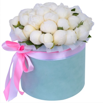 Букет из 35 белых пионов в зеленой бархатной шляпной коробке