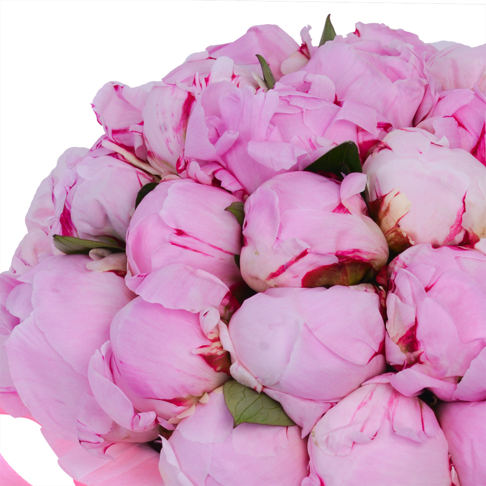 Букет из 35 розовых пионов в розовой шляпной коробке