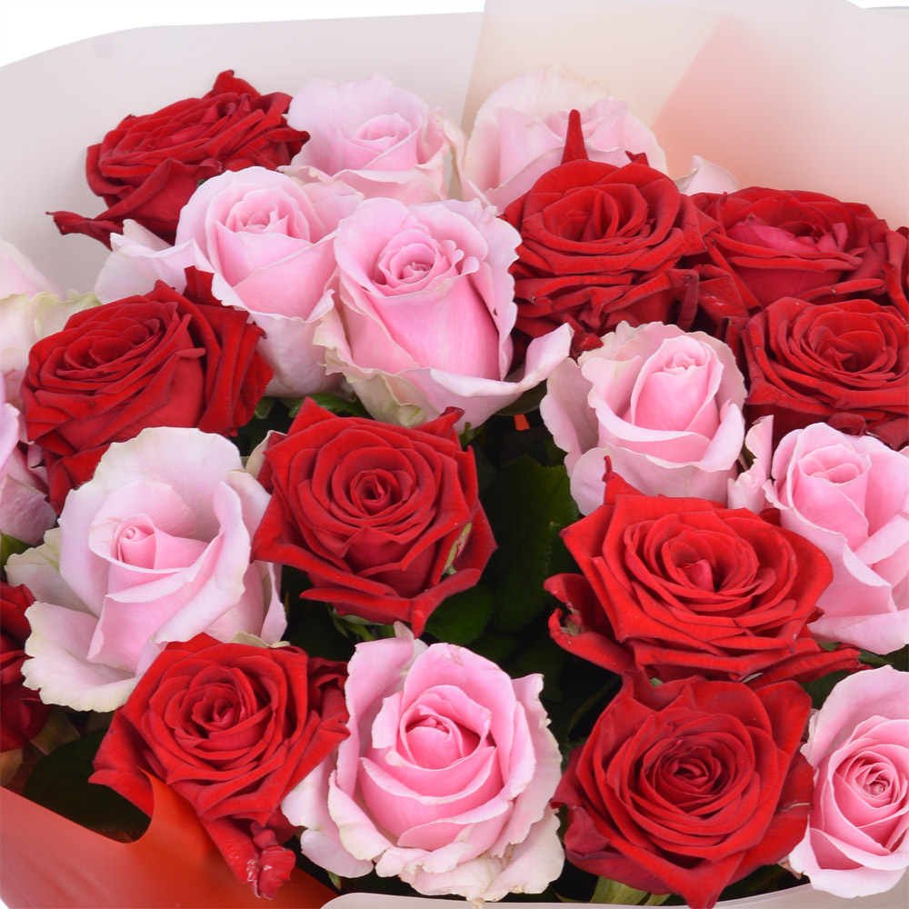 25 разноцветных роз premium 40 см