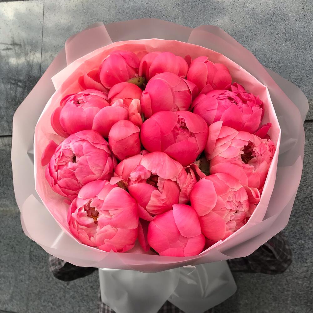 Букет из 15 коралловых пионов