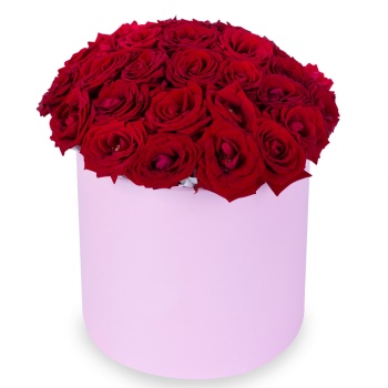 25 роз premium в розовой шляпной коробке