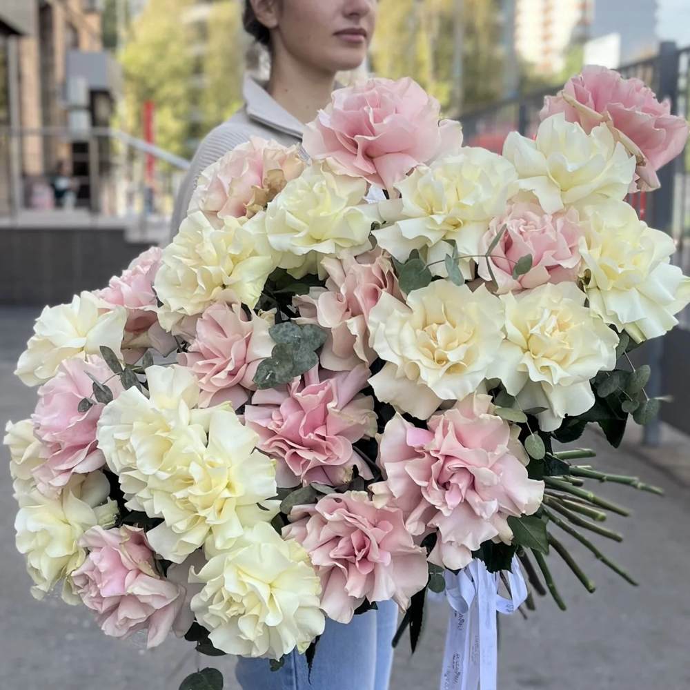 Французская розовая и белая роза 25 шт.