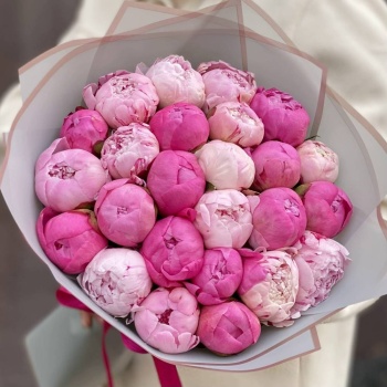 Букет из 25 разноцветных пиона