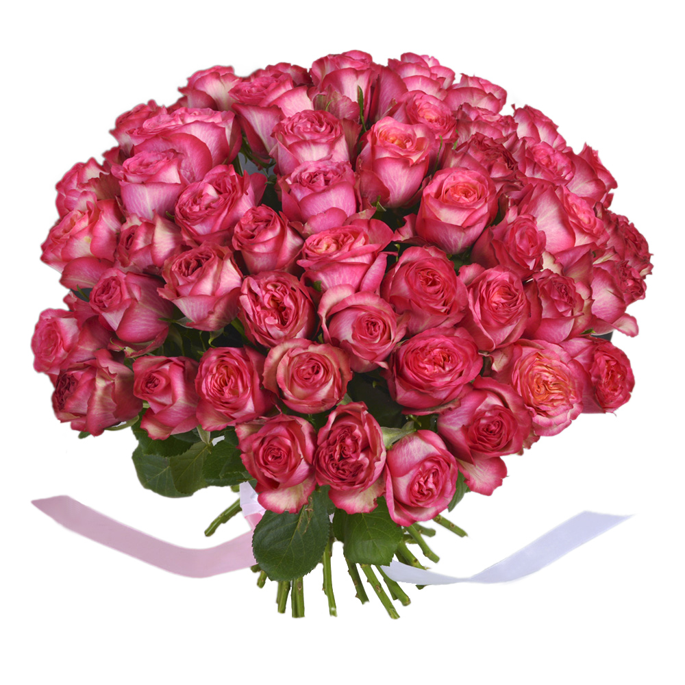 Букет из 51 розовой пионовидной одноголовой розы