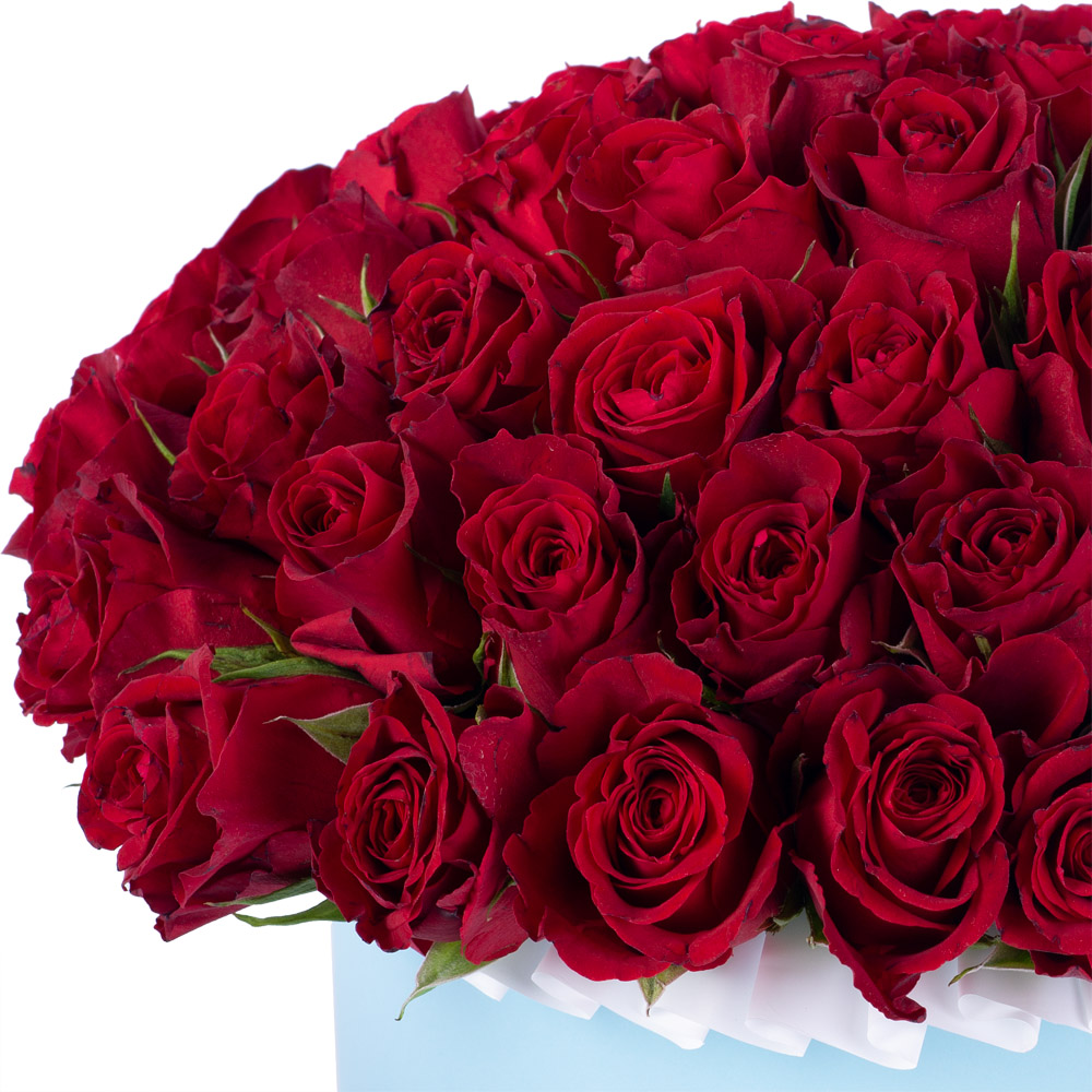 51 красная роза в голубой шляпной коробке