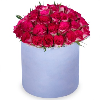 Букет из 51 бело-малиновой розы в серой бархатной шляпной коробке