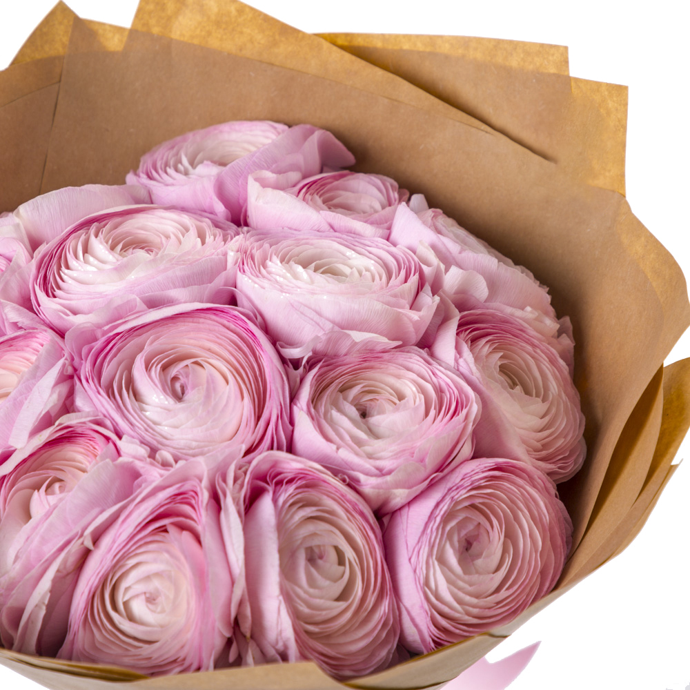 15 розовых ранункулюсов