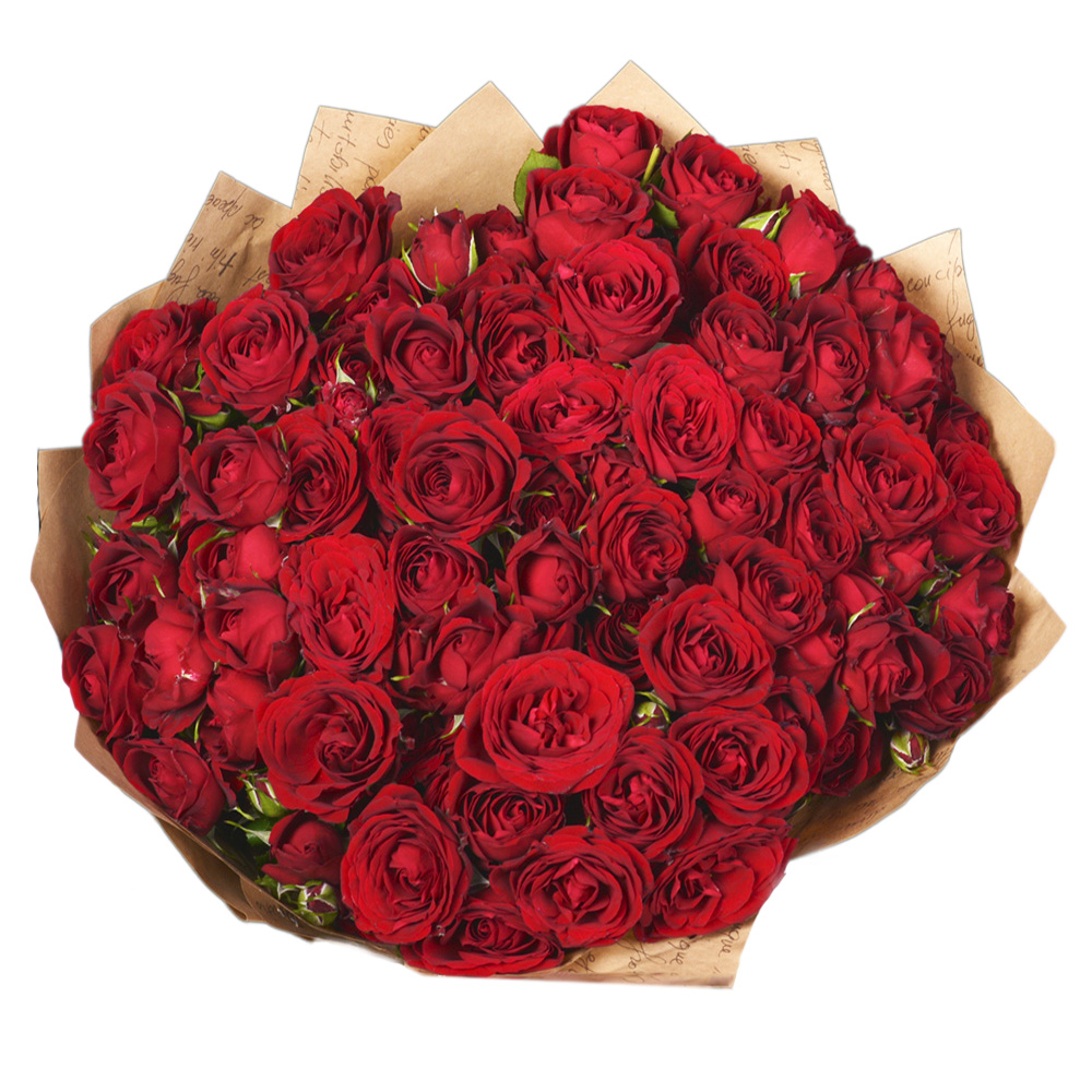 21 красная кустовая роза