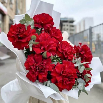 Французская красная роза 9 шт.