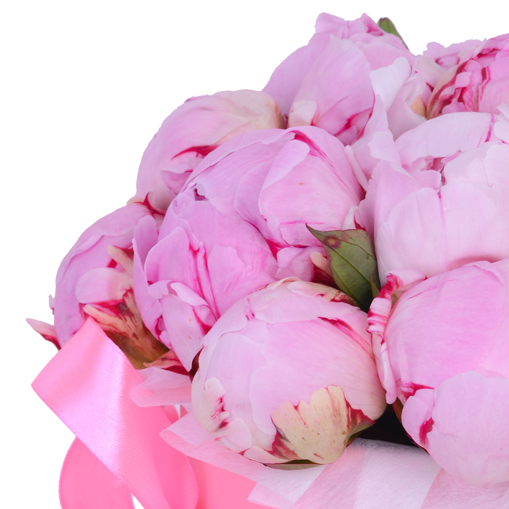 Букет из 15 розовых пионов в розовой шляпной коробке