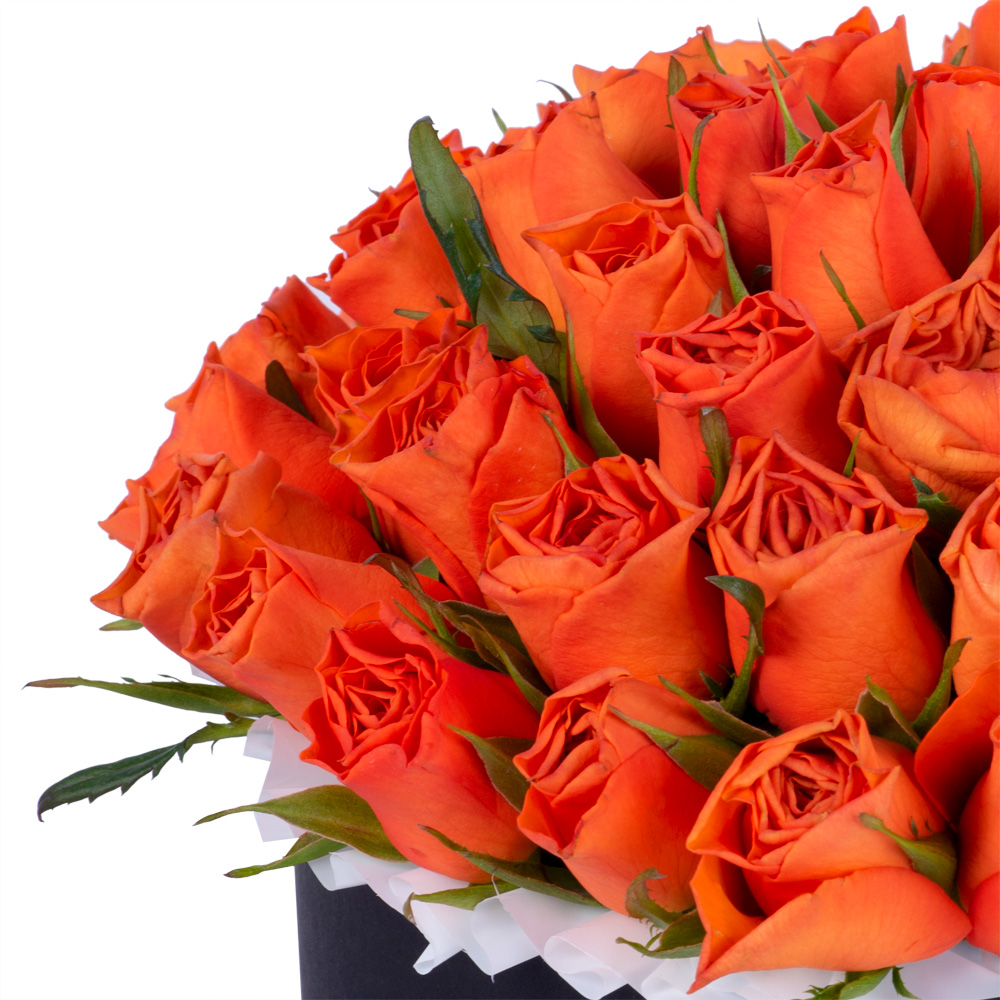 51 оранжевая роза в черной шляпной коробке