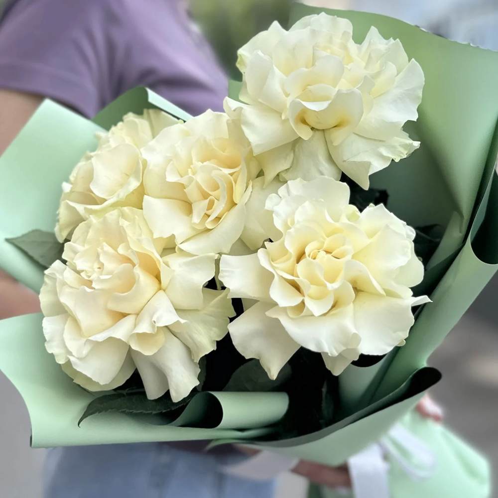 Французская белая роза 7 шт.