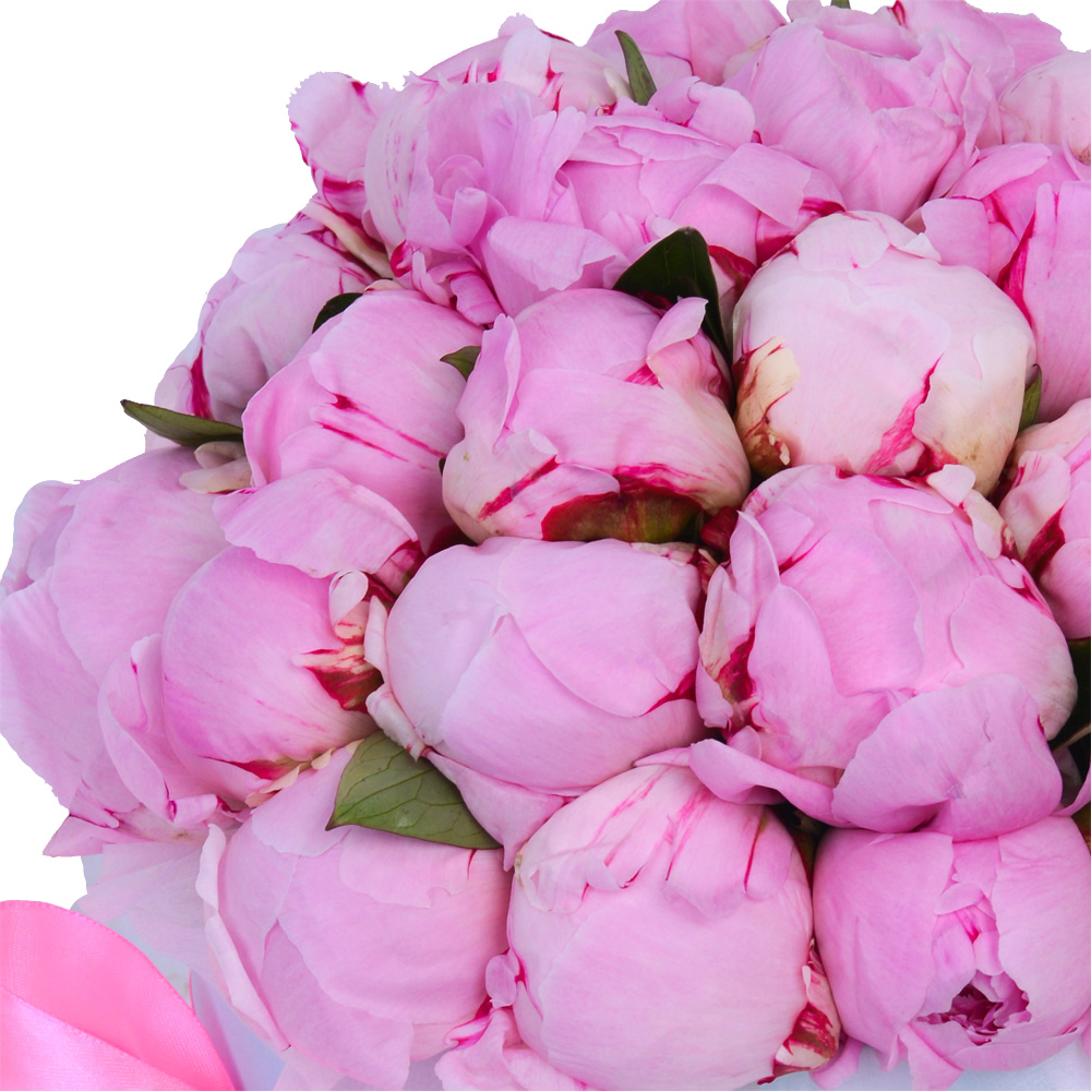 Букет из 35 розовых пионов в голубой шляпной коробке