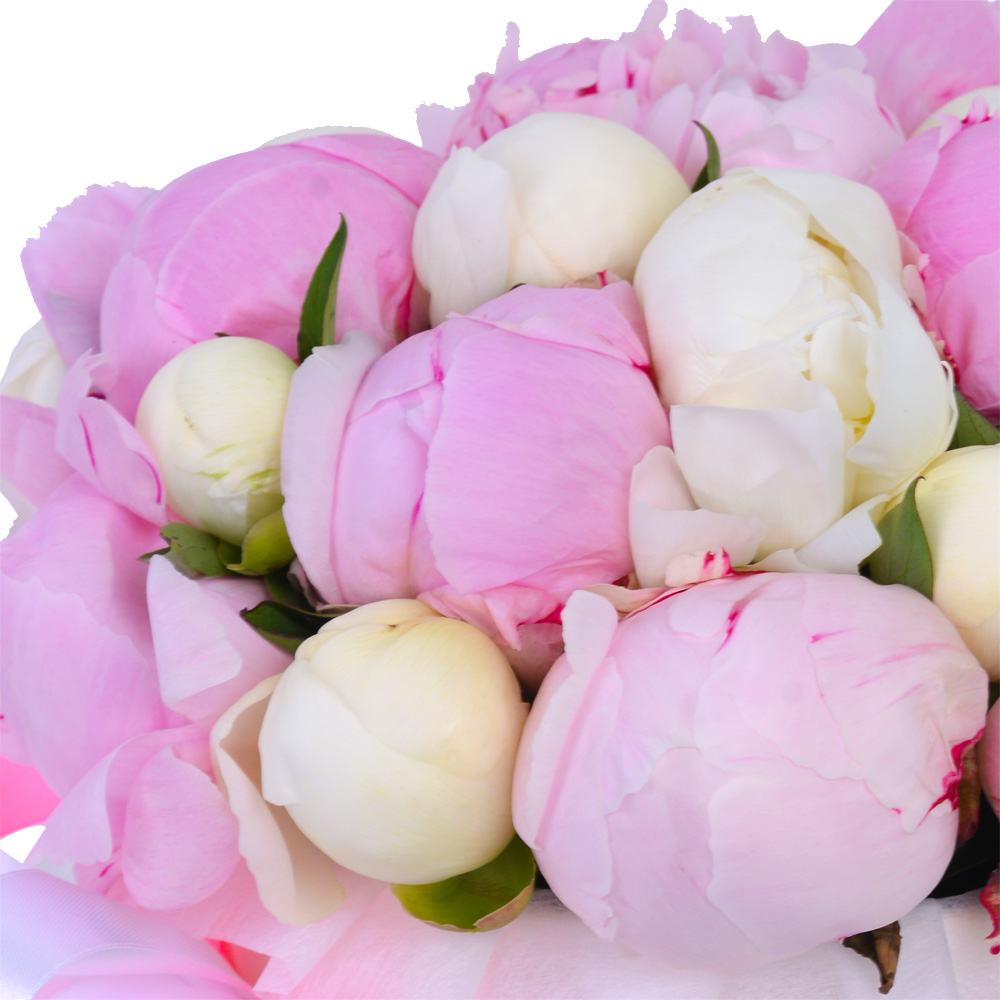 Букет из 25 разноцветных пионов в кремовой шляпной коробке