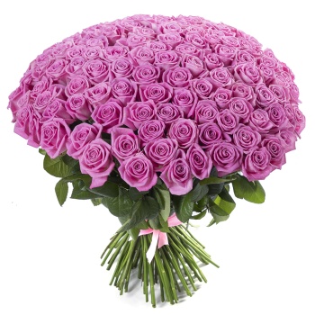 Букет из 101 розовой розы 50 см под ленту