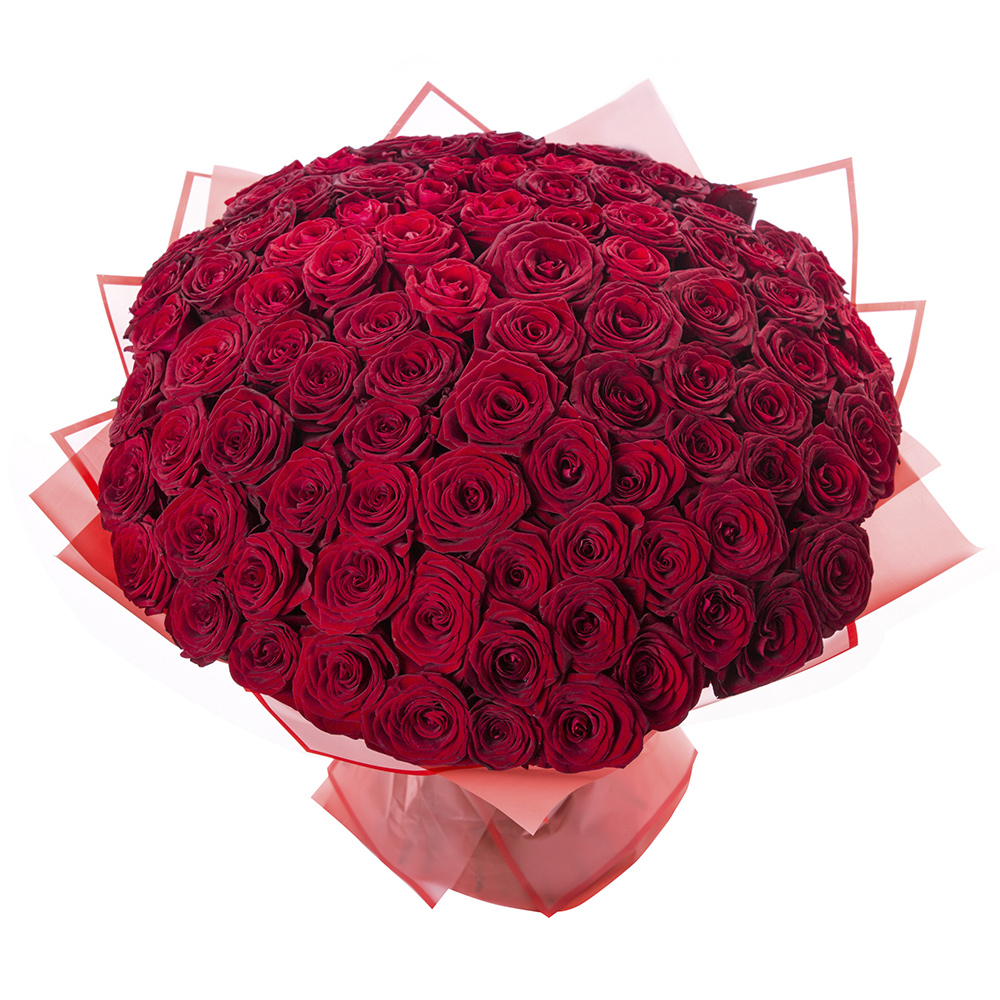 101 красная роза Premium 60 см