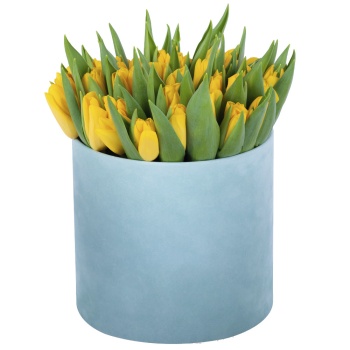 51 желтый тюльпан в зеленой бархатной шляпной коробке