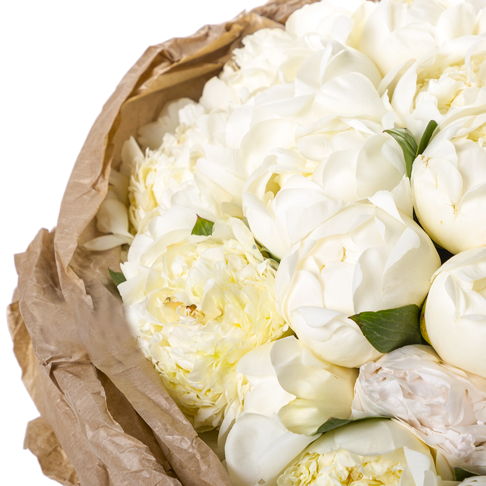 Букет из 35 белых пионов