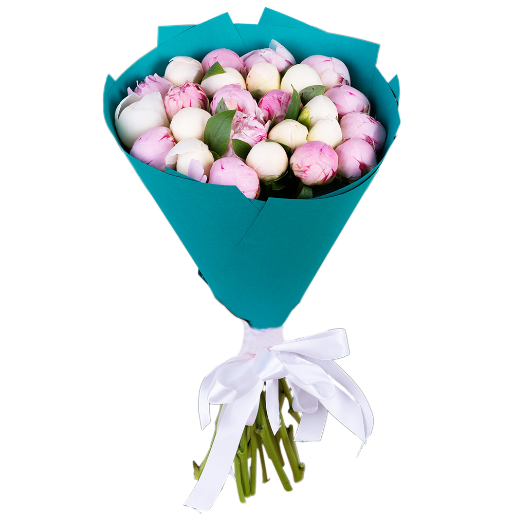 25 разноцветных пионов