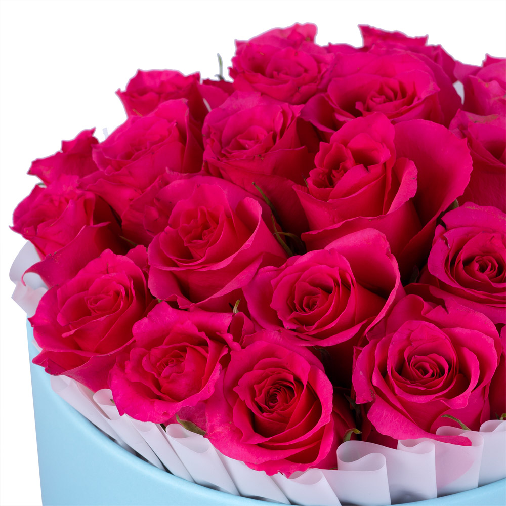 25 малиновых роз в голубой шляпной коробке