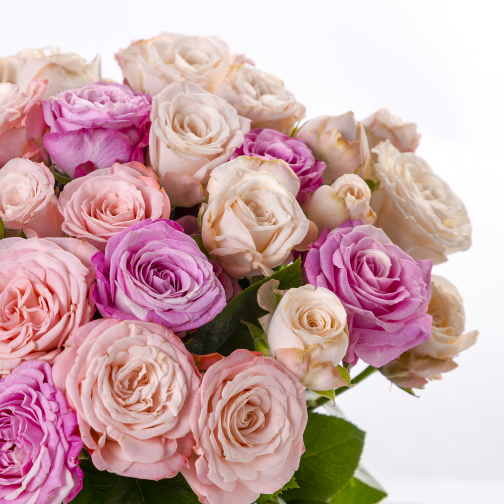 19 розовых кустовых роз