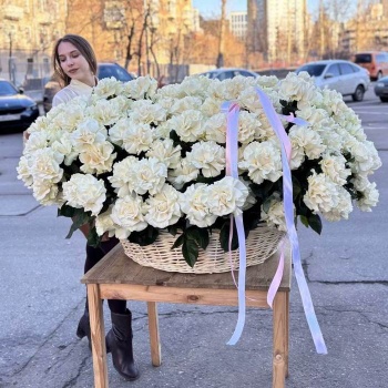 Французская белая роза в корзине 151 шт.