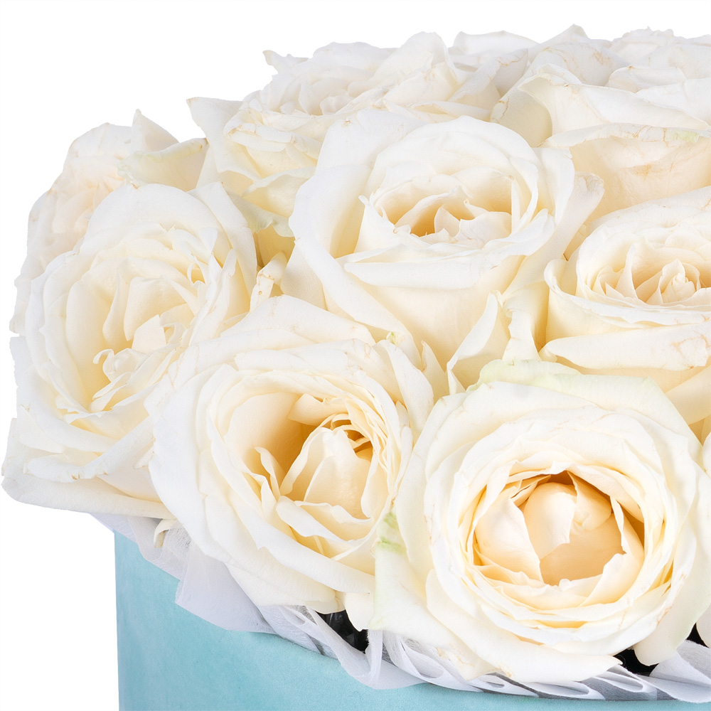 Букет из 19 белых роз premium в зеленой бархатной шляпной коробке