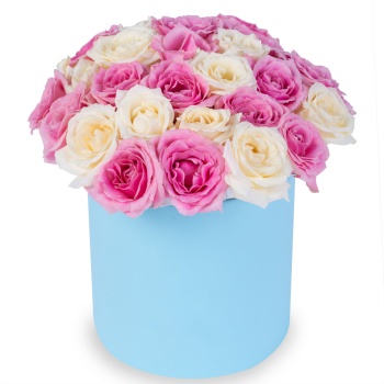 25 разноцветных роз premium в голубой шляпной коробке