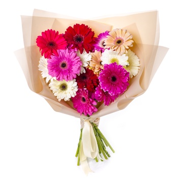 Букет из 25 разноцветных гербер в пленке