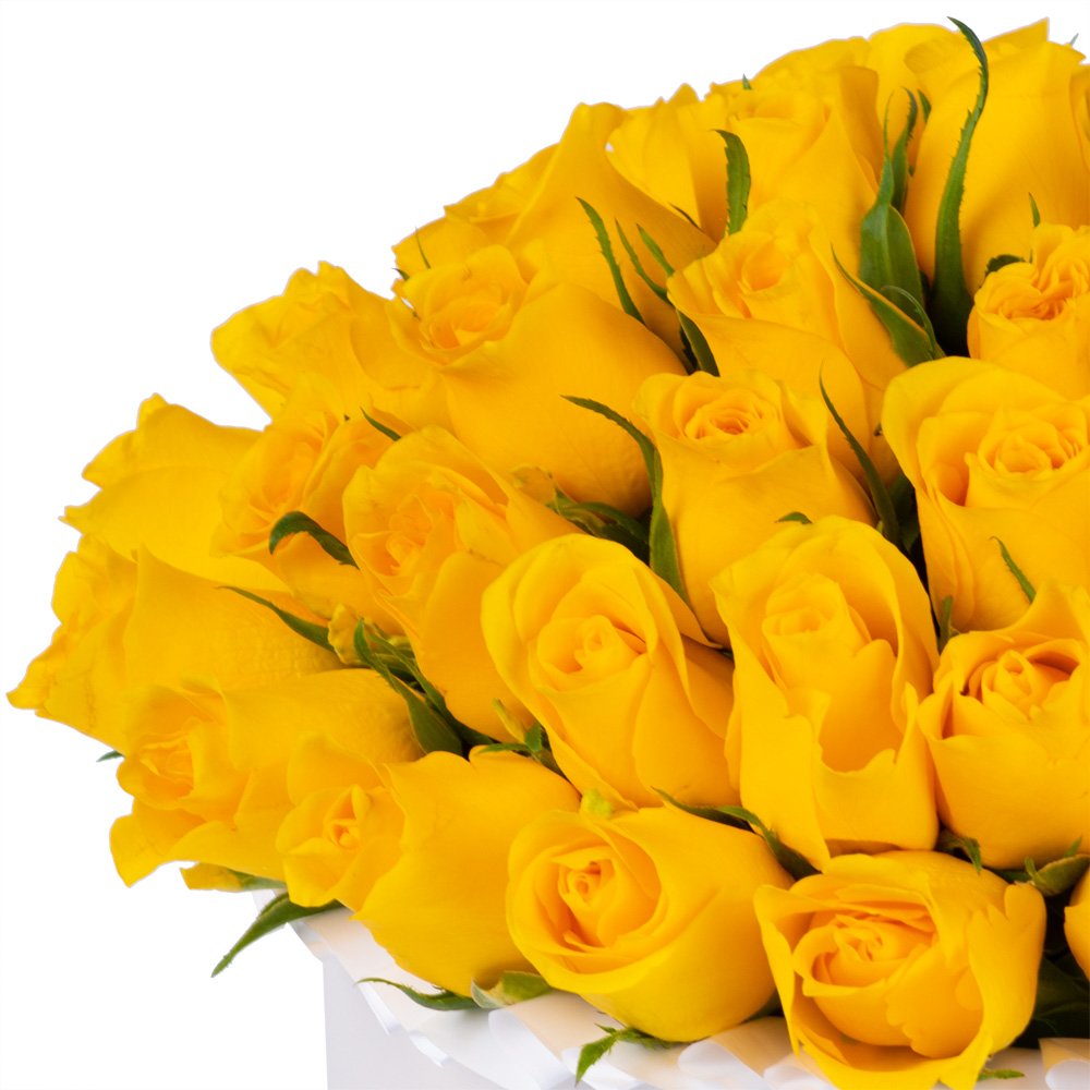 51 желтая роза в белой шляпной коробке