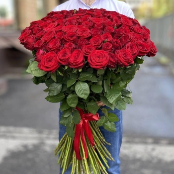 101 красная роза Premium Эквадор 90 см.