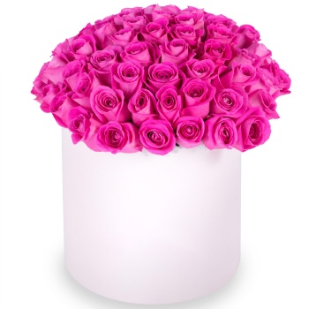 Букет из 75 розовых роз в кремовой шляпной коробке