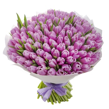 101 фиолетовый тюльпан