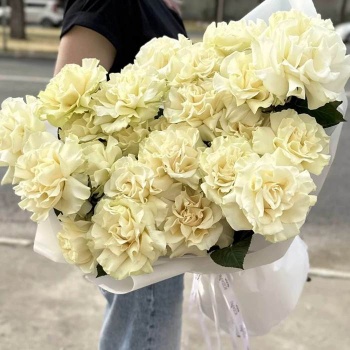 Французская белая роза 25 шт.