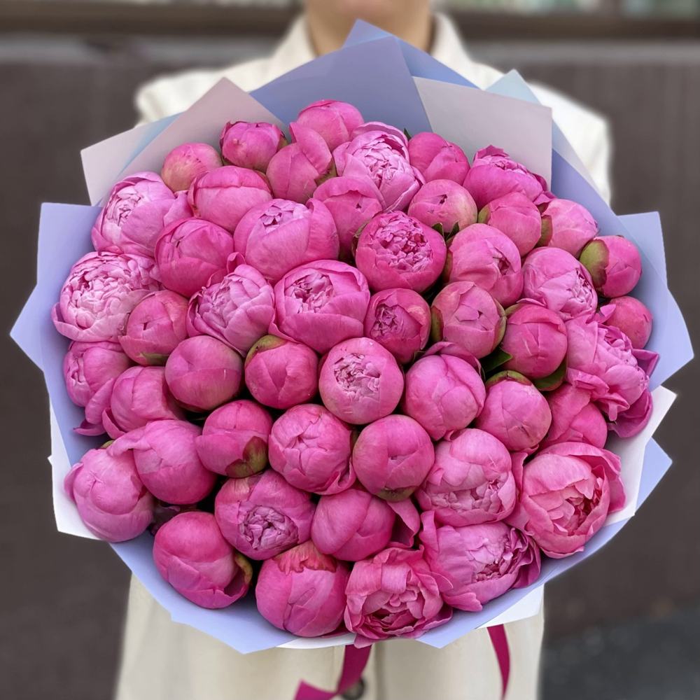 Букет из 51 розового пиона