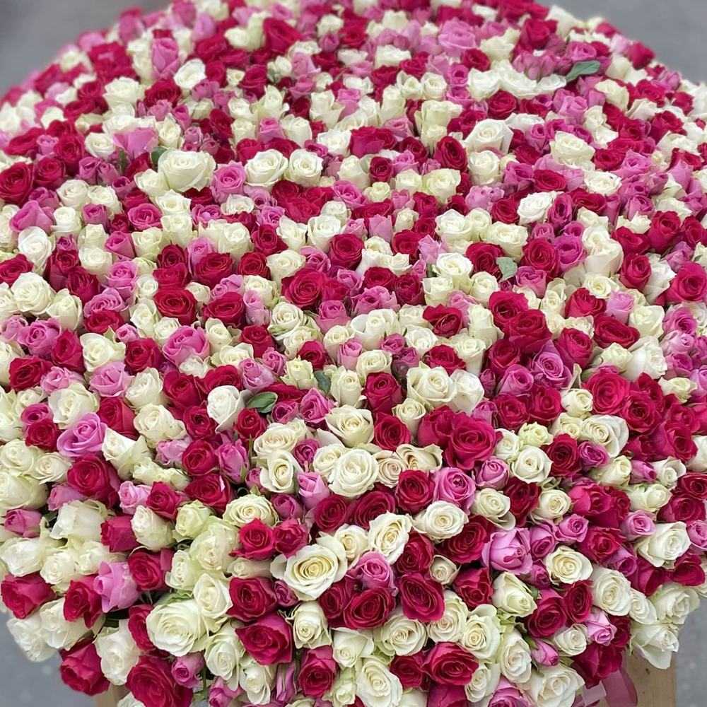 Шикарная корзина из 1001 розы Микс