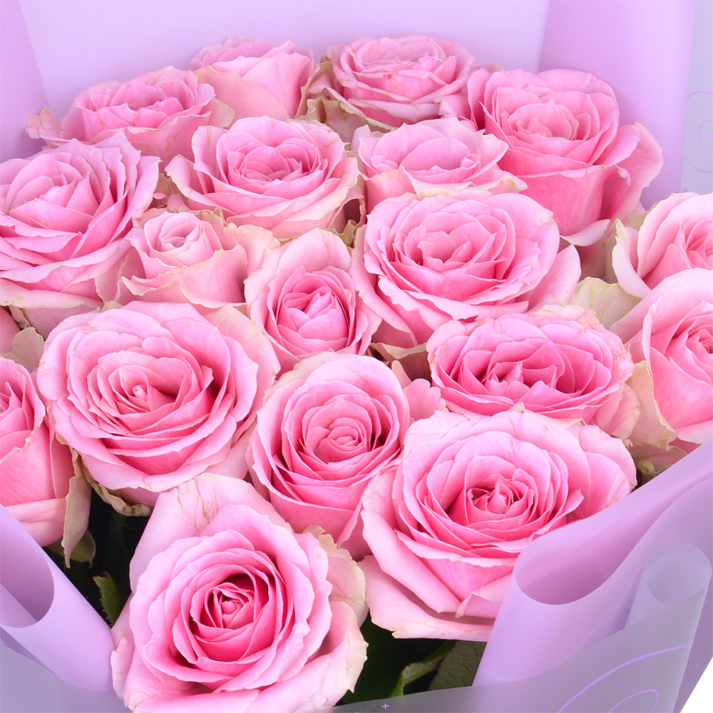 19 розовых роз 60 см в пленке