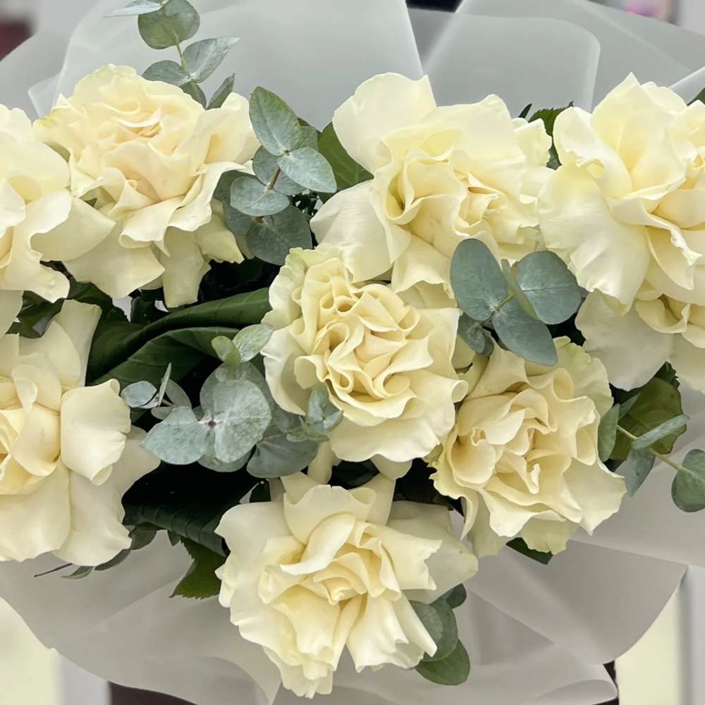 Французская белая роза 9 шт.