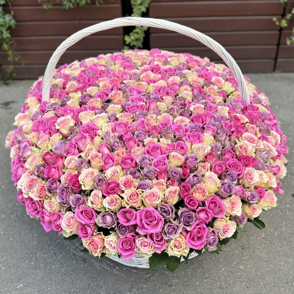 501 роза в корзине Нежный микс